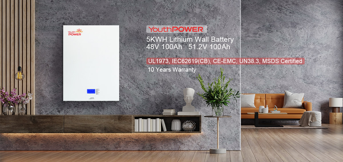 48V lithium ion battery 100Ah