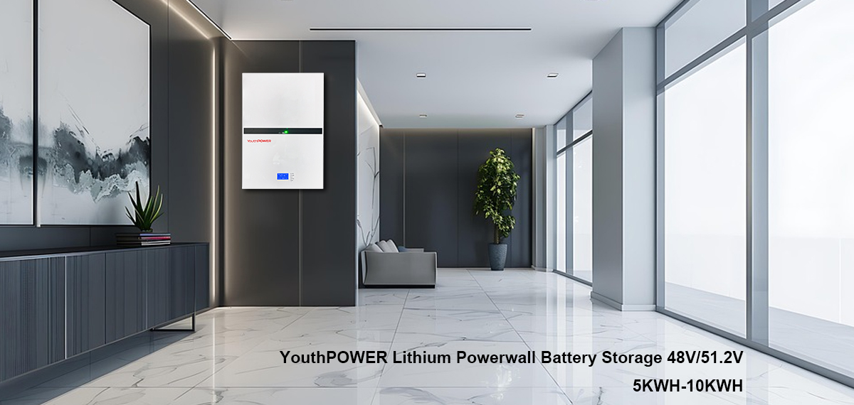 Batería LiFePO4 de 48V