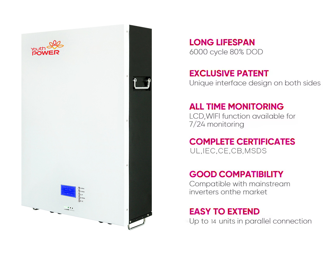 lifepo4 51.2V