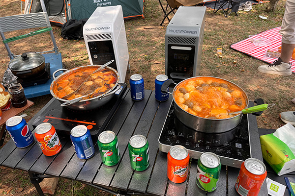 off grid generator battery system