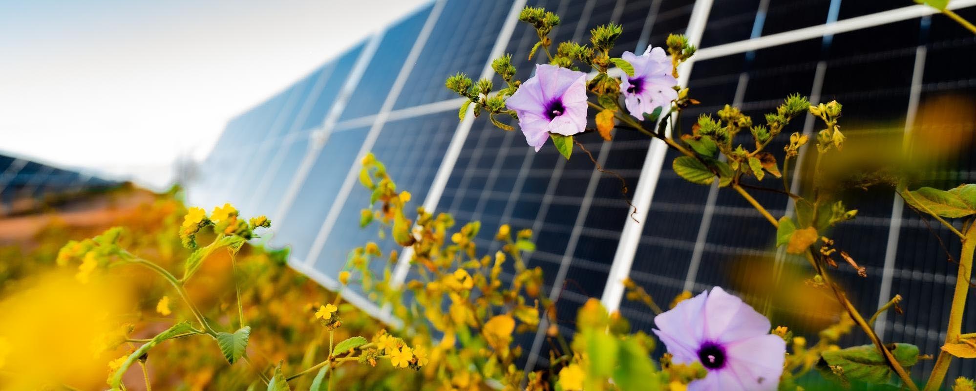 solar energy storage system