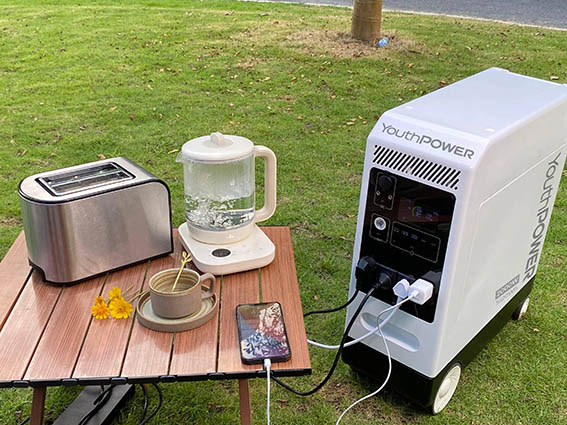 whole house battery backup